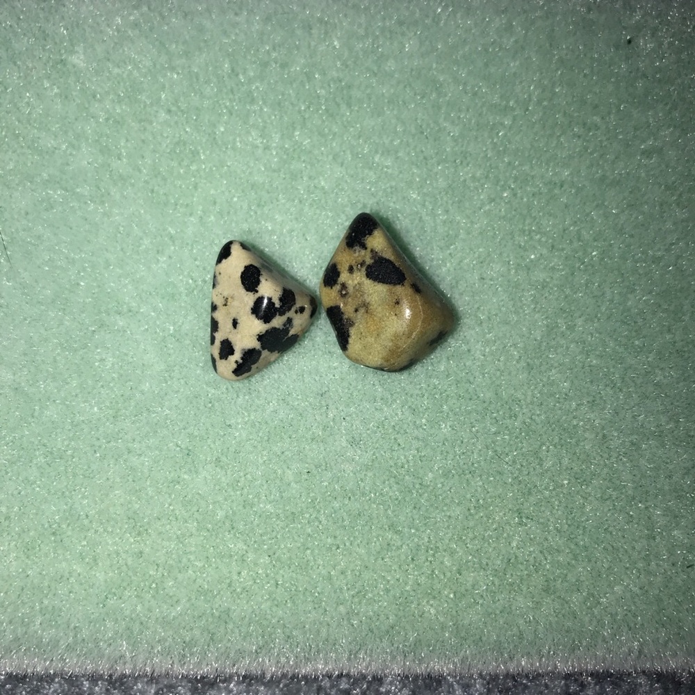 Dalmatian Jasper Studded Earrings